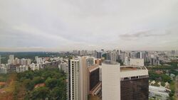 The Scotts Tower (D9), Condominium #418878901